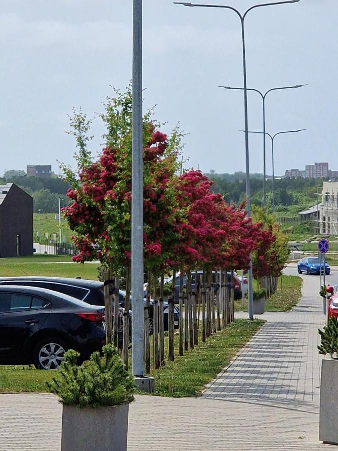 Apartamentai Ragaines Self Chec-In Free Parking Klaipėda Eksteriør bilde